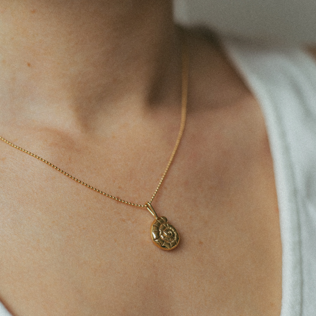 The Sundial Shell Necklace