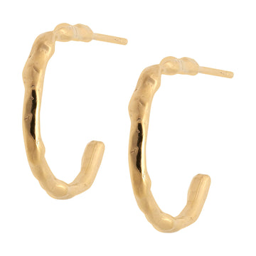 Nola Hook Earrings - Gold Vermeil
